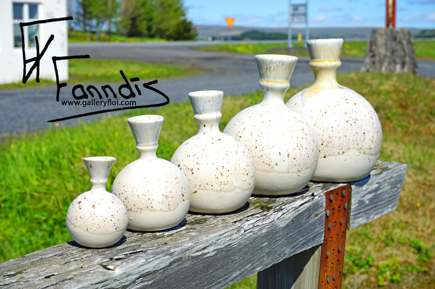 Flói kúlu Blómavasi / Flói sphere flower vase