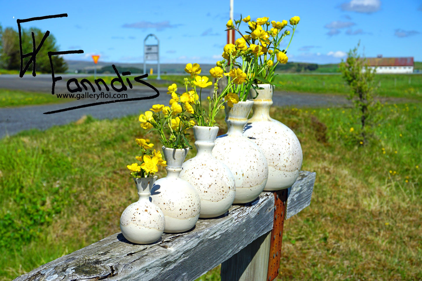 Flói kúlu Blómavasi / Flói sphere flower vase
