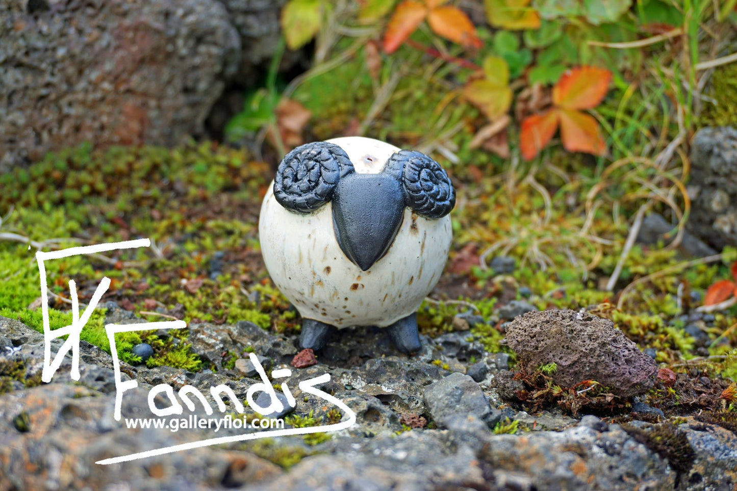 Flóa Kindur / Flói Sheep
