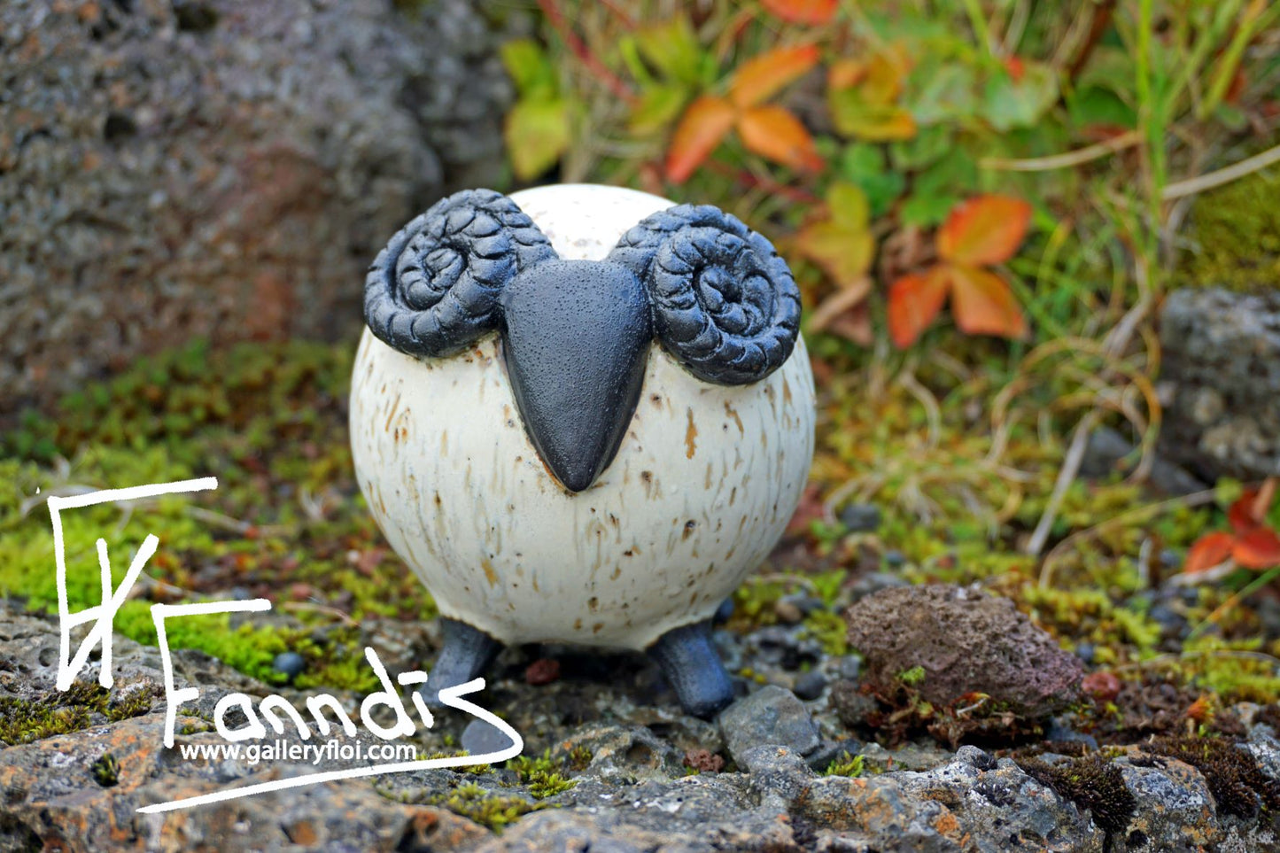 Flóa Kindur / Flói Sheep