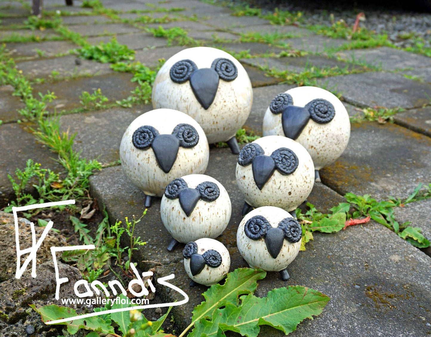 Flóa Kindur / Flói Sheep