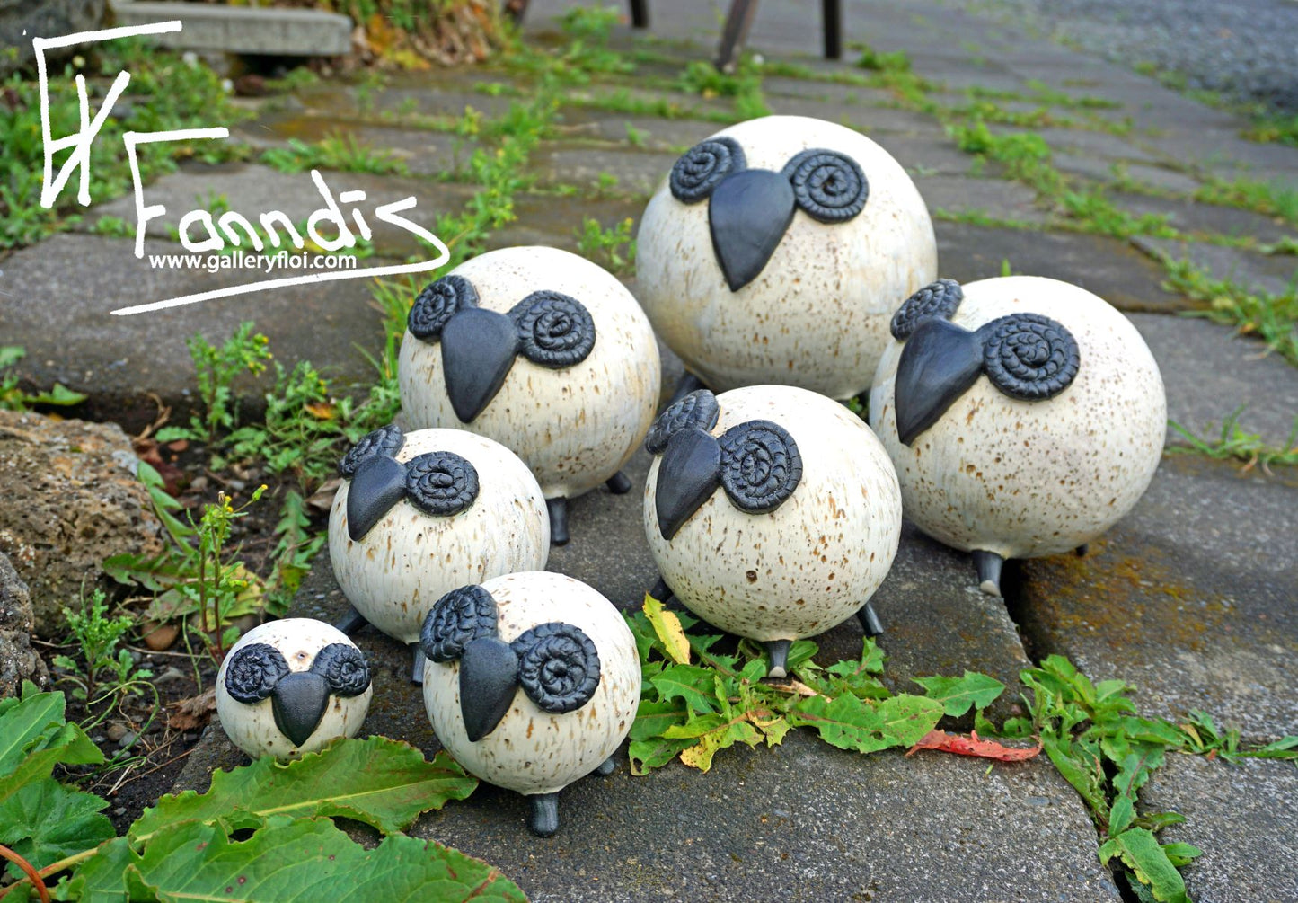 Flóa Kindur / Flói Sheep