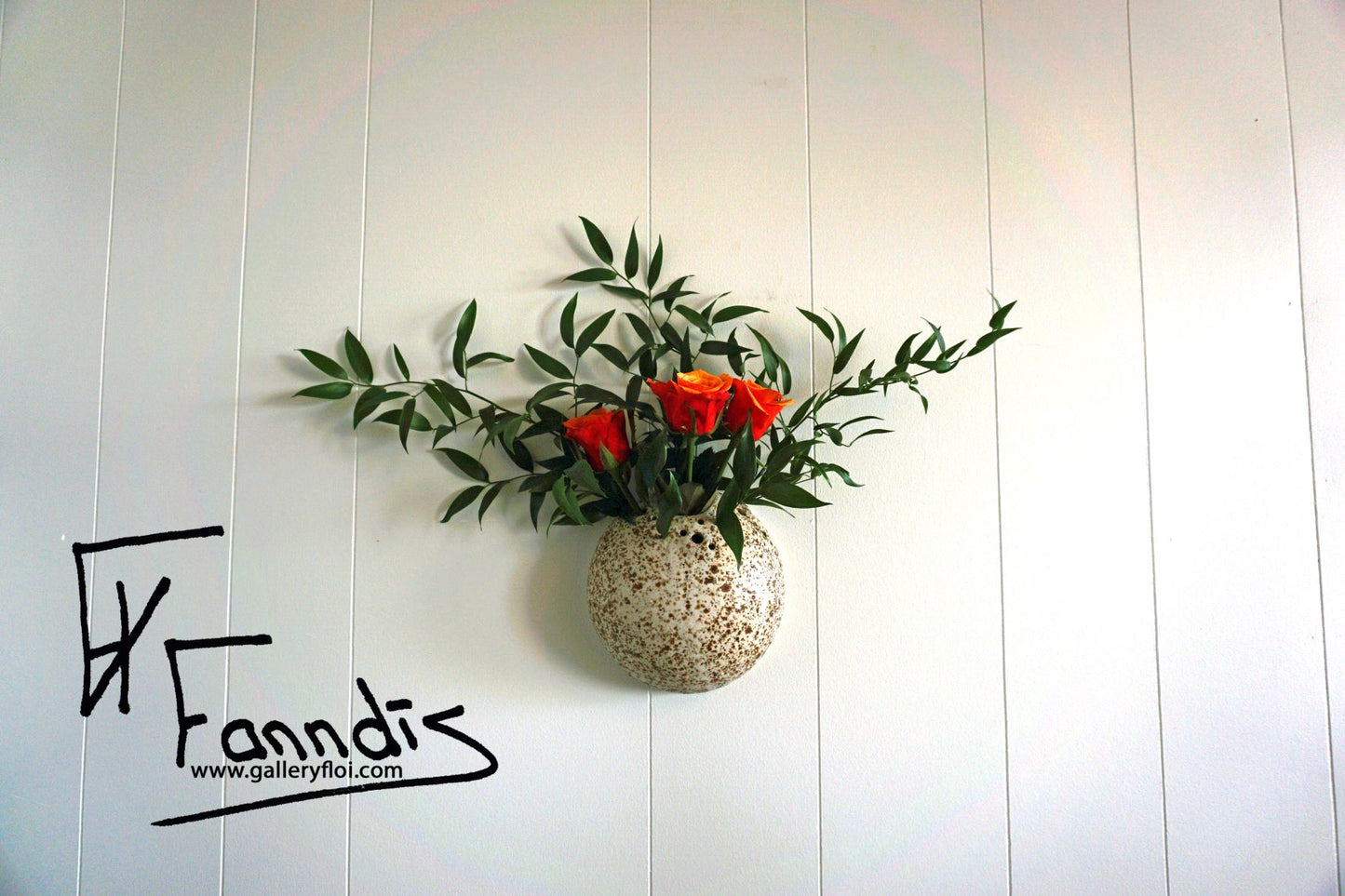 Flói vegg blómavasi / Flói wall flower vase