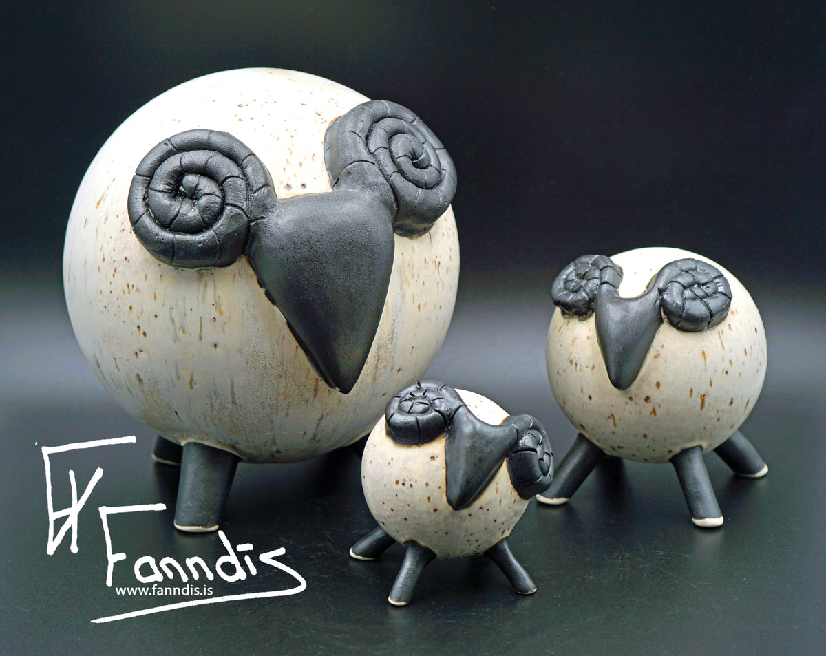 Sauðfé / Sheep