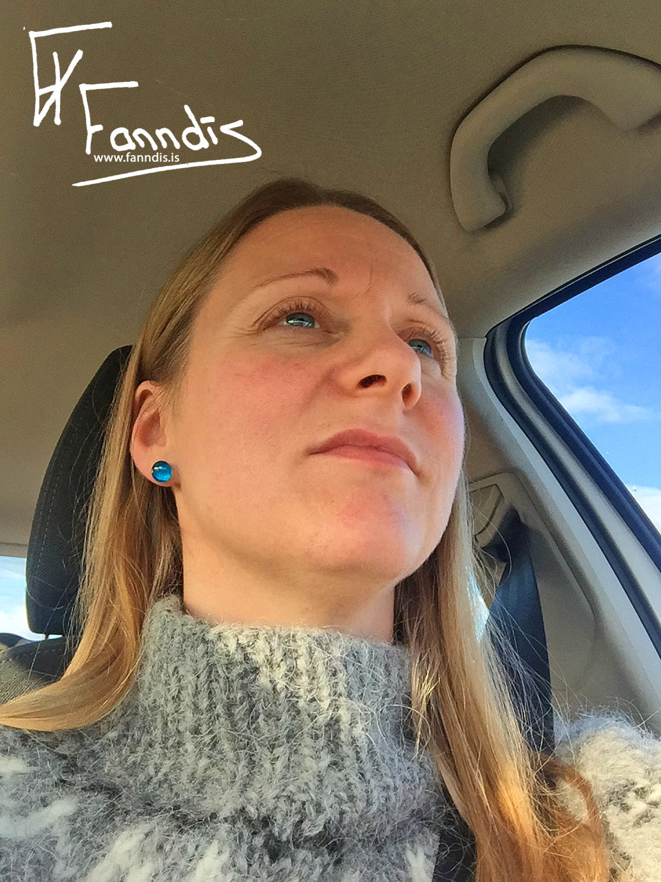 Pinna Eyrnalokkar (Gegnsætt) / Stud Earrings (Transparent)