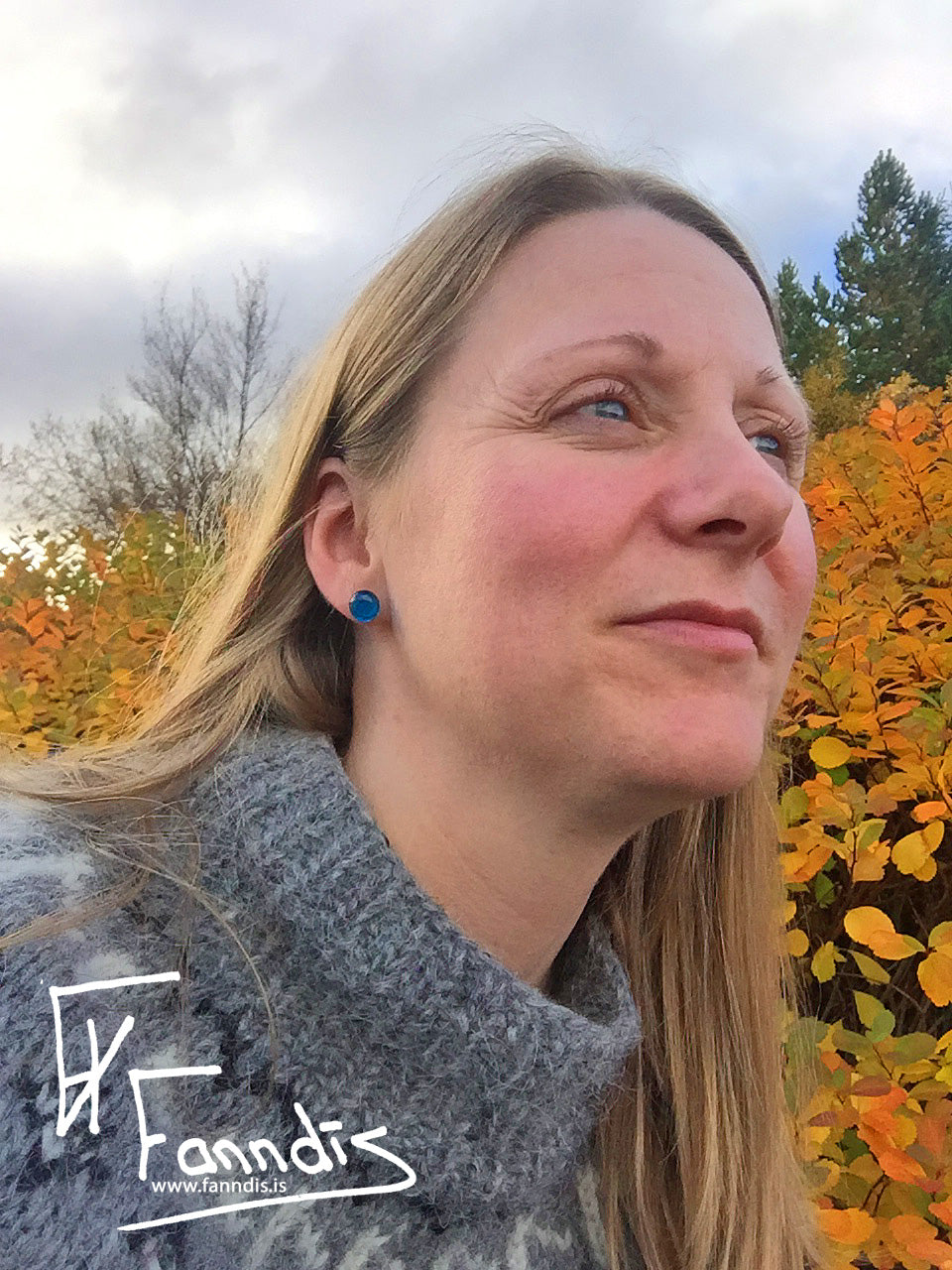Pinna Eyrnalokkar (Gegnsætt) / Stud Earrings (Transparent)